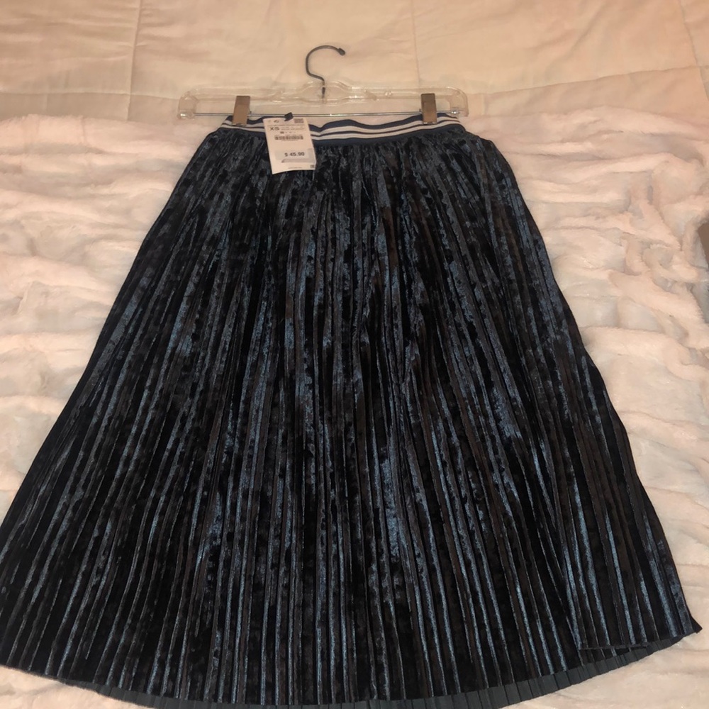 NWTS!!! NBW!! Zara Velvet Pleated Skirt